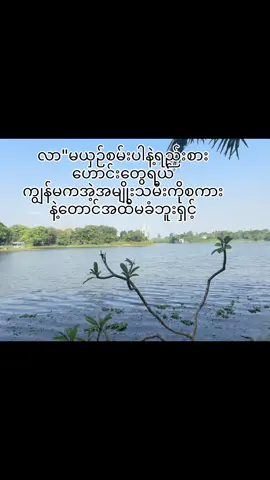 အဲ့အမျိုးသမီးမှမရရင်ရူးတော့မယ်😭💓