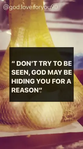 God's Quotes About Life | P17 :#pray#jesus#blessings#jesuloveyou💖😇🙏🏼#fyp#foryoupage❤️❤️