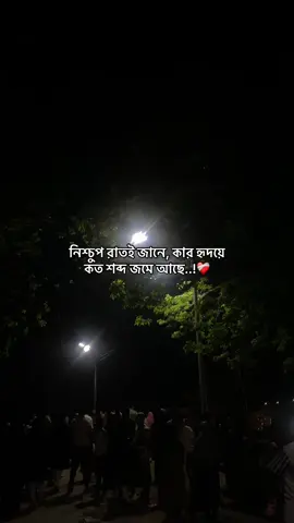 ❤️‍🩹❤️‍🩹#caption #tiktok #tiktokbangladesh #foryou #foryoupage #fyp @Plabon....61 💸 @𝐒𝘰𝙝ɑ𝙣 🌗 