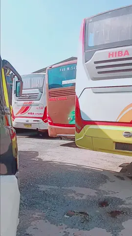 bus hiba utama #hibautama #hibagroup 