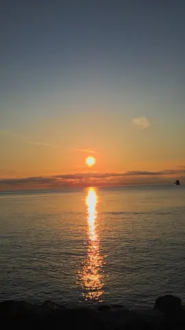 #vibes #nature #naturevibes #goodvibes #natation #swiming #oceano #oceanlife #pageforyou #foryoupage #fyp #foryou #pourtoii #pourvous 
