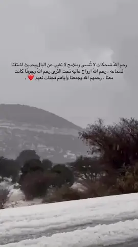#فقدان_الاخ_لا_يتعوض #لاتنسونه_من_دعاكم #حادث_مرور #💔💔💔💔💔😔 