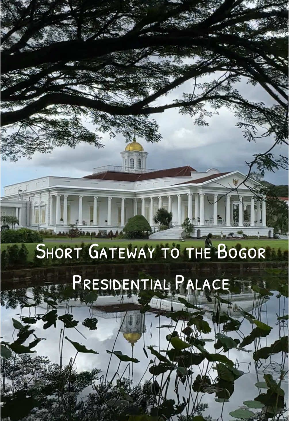Serene Presidential Palace #Bogor #Palace 
