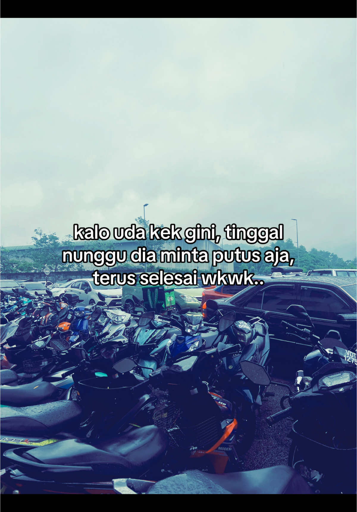 walid.. #quotes #fyp #req 