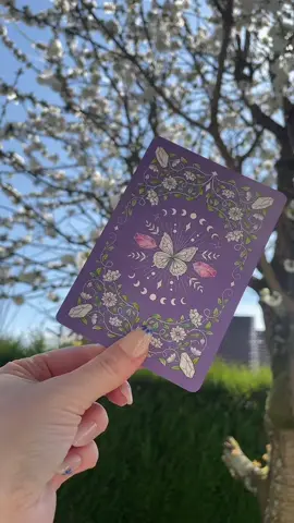 🔮 Découvres ta carte du jour 🌸🌟 #cartomancie #tiragedecarte #guidance #prediction #pourtoi #pourtoipage 