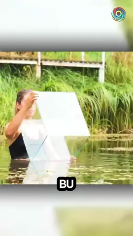 Bu videoda gölün ortasında akvaryum kurma deneyimini izleyebilirsiniz. Su altı masası, boru sistemi ve biraz yemle başlayan bu ilginç proje kısa sürede kurbağalar ve balıklarla dolu harika bir manzaraya dönüştü. Keyifli seyirler!