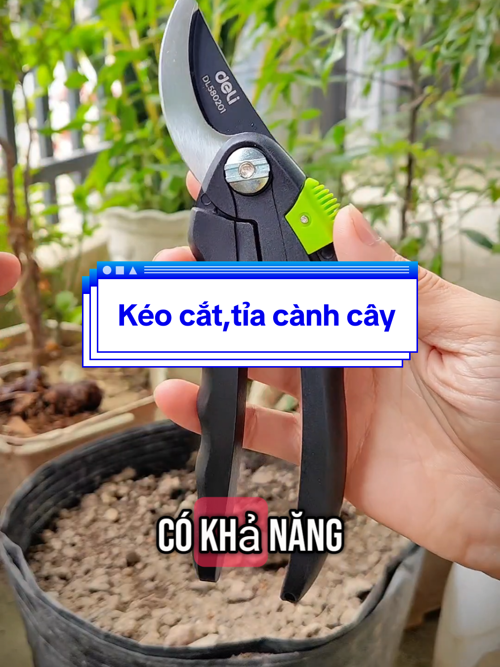 Kéo cắt tỉa cành Deli, sắc bén từ trong lẫn ngoài...#tiktokshop44 #livevuifreeship  #review #keotiacaycanh #keocatcanh #keocattiacanhcay 