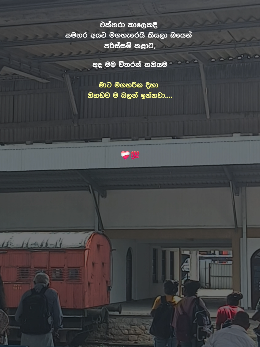 එහෙම නේද??🫰 #foryou #foryoupage #fyp #fypシ #whatsappstatus #sinhalaquotes #sha_dah 
