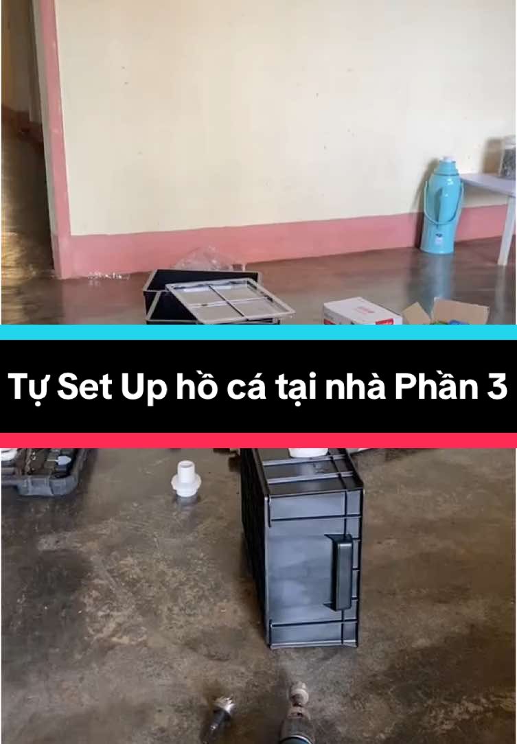 Tự set up hồ cá tại nhà , Phần 3
