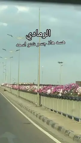 #الرمادي_الاٴنبار #المحامده #الرمادي #تكبيساتكم_ولاياتكم_اهم_اكسبلور #الانبار_مدينة_الرمادي 