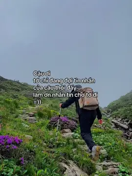 #mazcic 