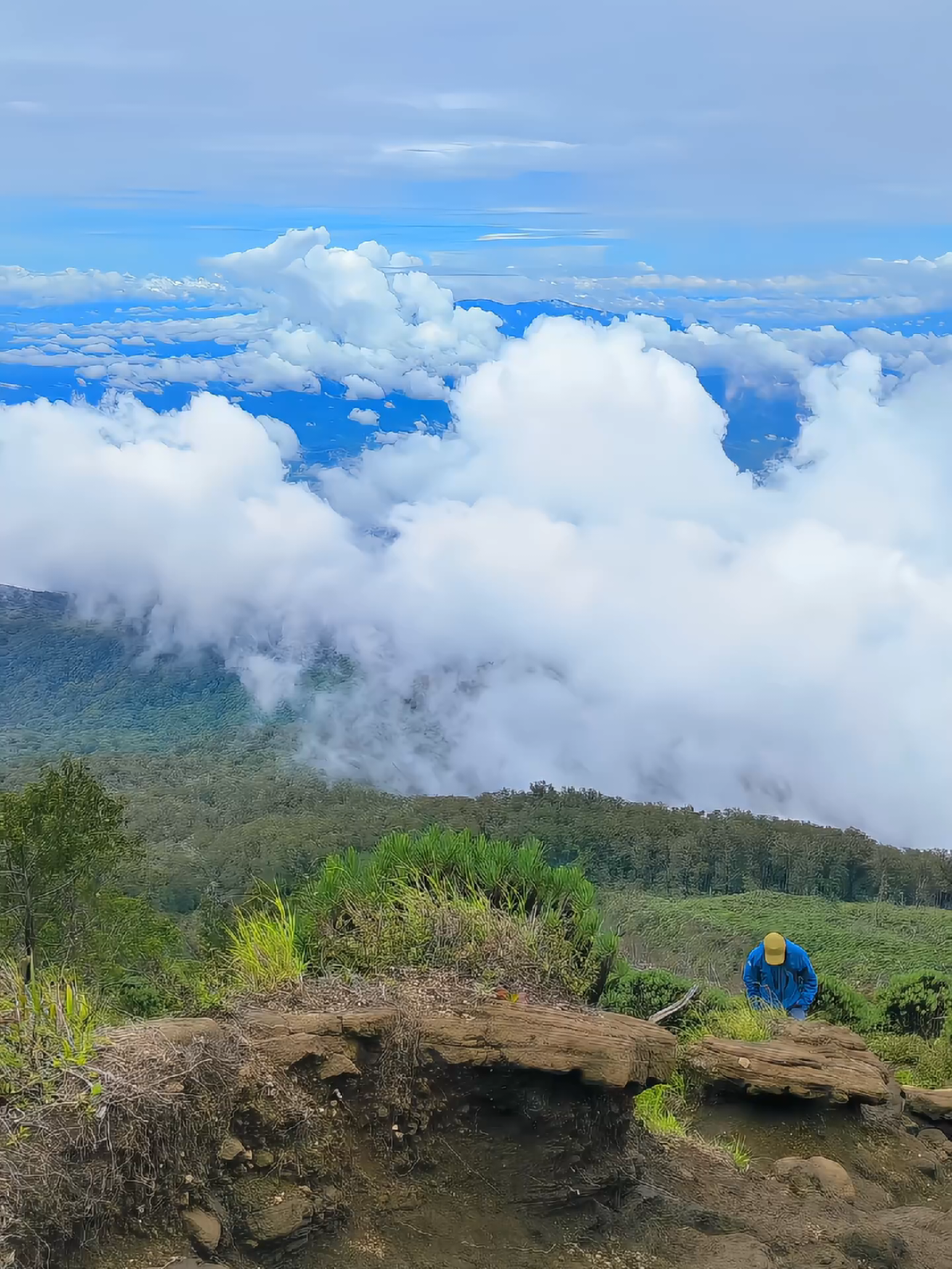 ciremai dengan keindahannya  #ciremaiviaapuy #ciremai3078mdpl #ciremai #majalengka #pendakigunung #tektok #pendaki #pendakiindonesia #estetik #photography #lfl #fyp #flf 