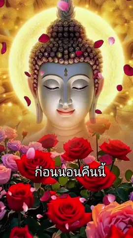#เทรนด์วันนี้ #รู้จากTikTok #รู้หรือไม่ #songkran2025 #ก่อนนอนคืนนี้ #เพื่อความบันเทิงเท่านั้น #lungchaisa คืนนี้นอนหลับฝันดีราตรีสวัสดิ์🙏🙏🙏❤️❤️❤️