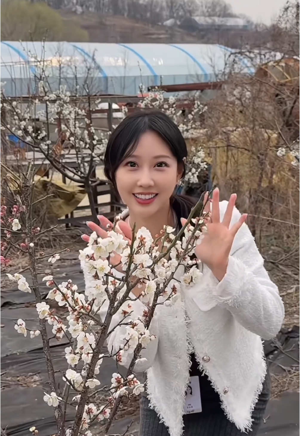 🤍🌸회사 앞 꽃이 펴서 행복한 김과장💕  #일품나라 #갈비퀸 #봄 #댄스 #회사원