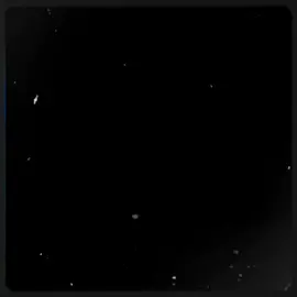 #CapCut 