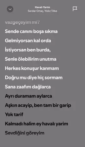 Serdar Ortaç #serdarortaç #havalıyarim #fyp #şarkı #şarkısözleri #keşfet #keşfetbeniöneçıkar #keşfetteyizzz 