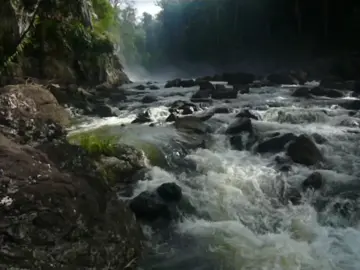 #digicam #digitalcamera #oldcamera #nostalgia #early2000s #memories #videodiary #dream #pointandshoot #nature #trees #childhood #creek #river #waterfall #jeffbuckley