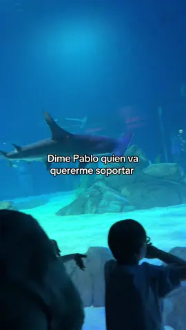 🥲#pabloalboran #quien #fyppppppppppppppppppppppp #viralvideo #viral_video 