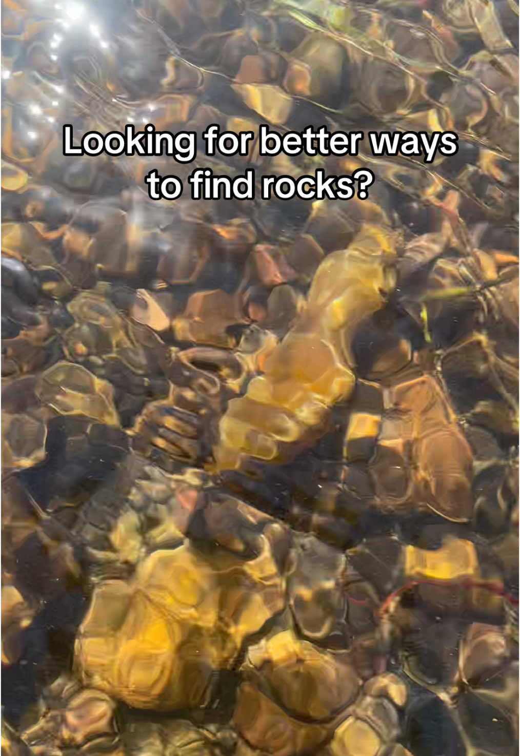 Rockhound tip for you! #rockhound #rockhounding #tip #trick #agates #rocks #rocktok #rockhunting #fridgecontainer #viewingbucket 