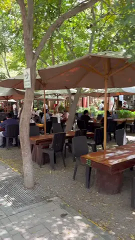 Vivero La Molina La Molina Lima Peru |  Universidad Nacional Agraria La Molina #foodie #foryoupage❤️❤️ #fyp #foryoupage #viral_video #Foodie #lima
