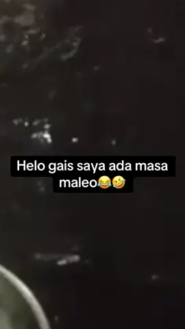 halo gais saya ada masa #maleo🤣 #viralvideotiktok#sorotan#publik #fyppppppppppppppppppppppp  #pulauserammaluku⛰️🏝️🔥🔥 