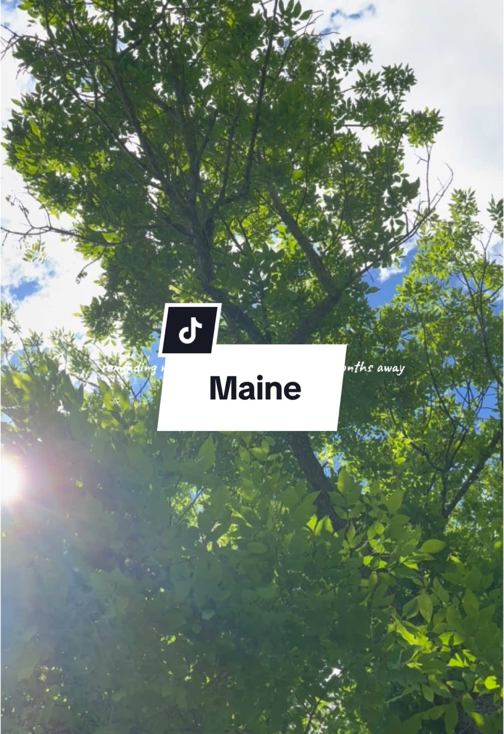 With snow in the forecast, I’m reminding myself this view will be here so soon! #maine #Summer #sunshine #nostalgia 