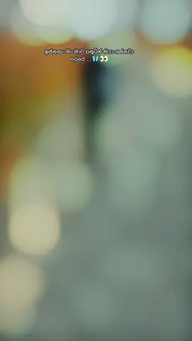 🦋👀 . . . #CapCut #anuradhapura_sri_lanka🇱🇰 #fypシ゚ #foryoupagе #tranding #fathizaarah97 #srilanka_tik_tok🇱🇰 #viralvideo #1M #srilankatiktok #nostalgic #creatorsearchinsights #trandingvideo #traveltiktok #hortonplains 