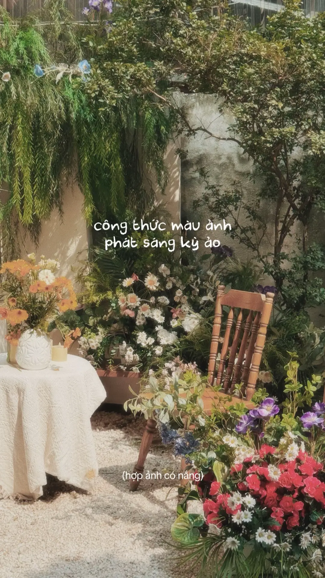 Công thức màu ảnh phát sáng mơ mộng.  #xuhuong #chupanh #congthucchinhanh #caphechupanh #tipchupanh 