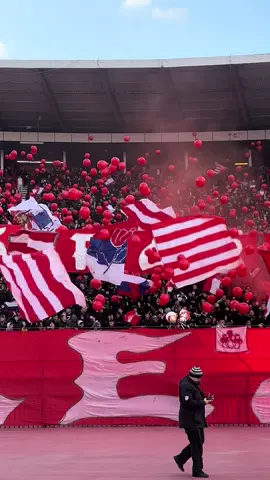 УЛТРА ЗВЕЗДАШКИ!  #fkcz #crvenazvezda #srbija #delije #viral #fyp 