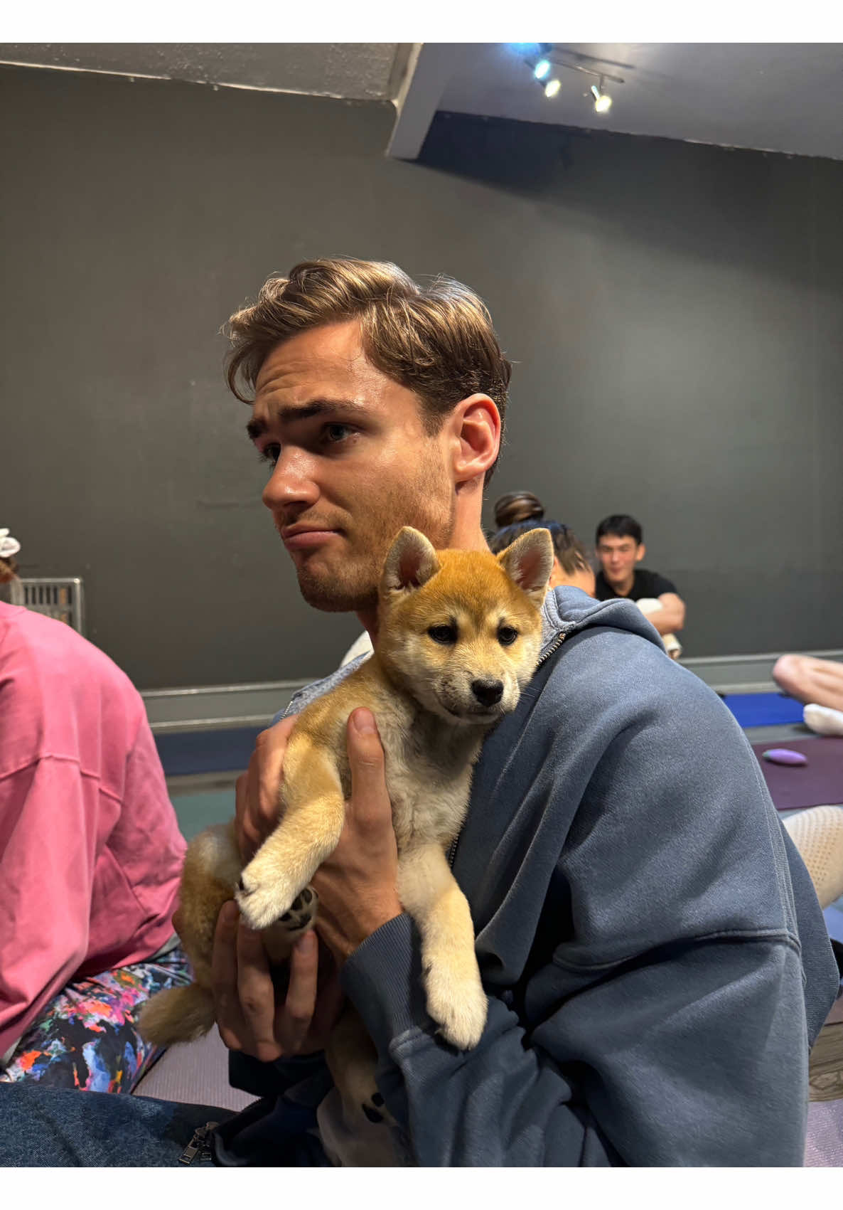 Taking this little guy home 🥹🐶 #puppy #dog #shibainu #london 