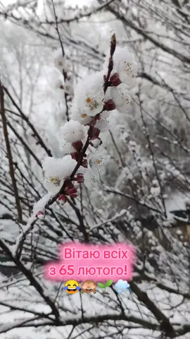 #весна #зима #квітень #янедогуляла