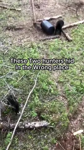 Animals can be terrifying 😳  #fypシ #animals #interesting #amazing #animalsoftiktok #fyp 