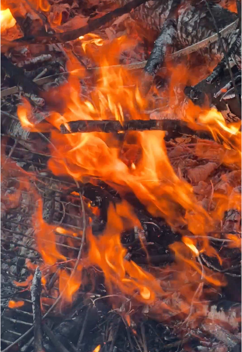 #fire #foryoupage❤️❤️ #foruyou#tik_tok#fyp 