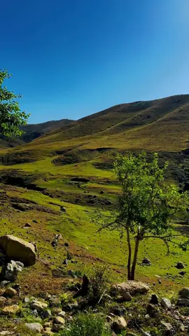 south Waziristan Bader Sina thizha 🤩#LearnOnTikTok #waziristan #pakistan #karchi #foryou #waziristan 