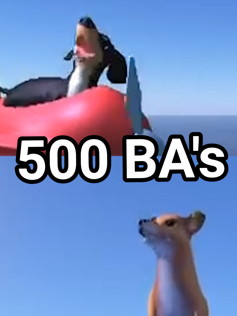 500 BA's! 🐶🐾 . . . . #dogofwisdom #theproclaimers #500miles #fyp #fypシ #memes #cursed #newsound #iwouldwalk500miles 