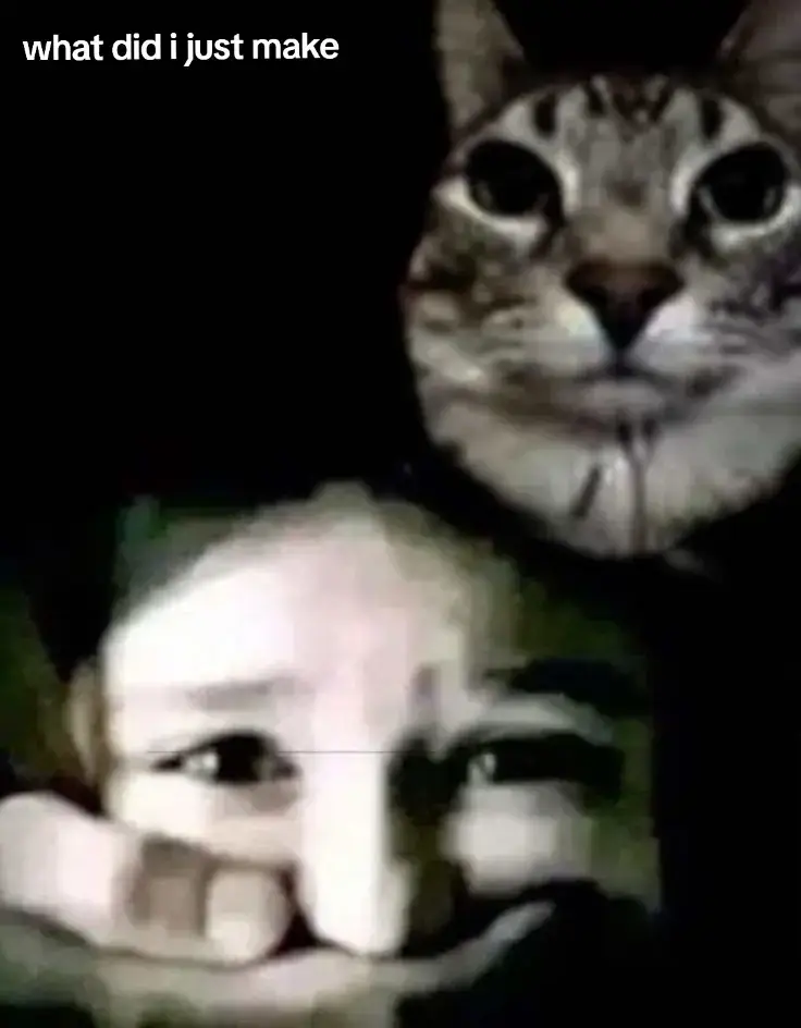 #cat #kidnapcatmeme #meme #funny #tiktok #foryou #fyp #followme #trending #viral #foryoupage #comedy #lol #memez #funnymemes #shitpostmagyar 