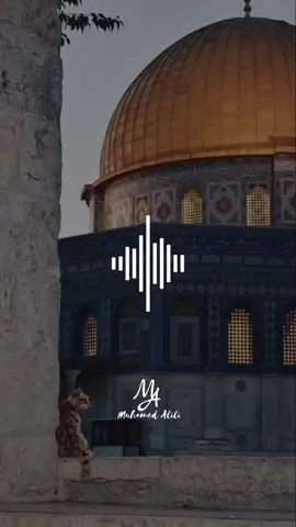 Allahu e ndihmoft Palestinen🇵🇸 Allahu te vd3kurit ti meshiroj Allahu Muslimanet ti forcoj Allahu zullumqaret ti shkatroj Amin  #foryoupage #viral#watermelon #🍉 #🍉team_🍉watermelon🍉 #muslim #allahuakbar #shkupi #kosova #ademramadani #muslimanetshqipetar #maqedonia #world #arab #albanianboy #albaniagirl 