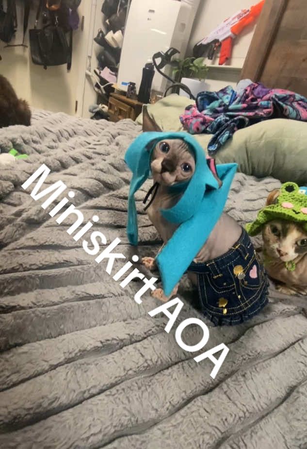 Miku Miniskirt #miniskirt #aoa #kpopdancecover #kpop #miniskirtaoa #cosplaygirl #sphynxcat #cosplay #catsunemiku #vocaloid #kpoptiktok #kpopstan 