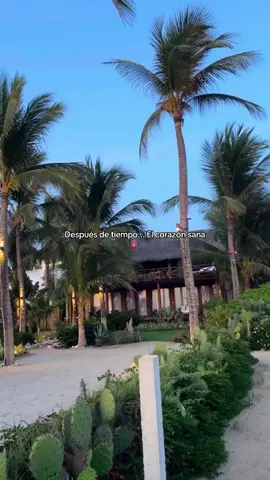 #paratiiiiiiiiiiiiiiiiiiiiiiiiiiiiiii #fouryou #fypp #viraltiktokvideo #sunsetlover #atardecer #puertoescondido 