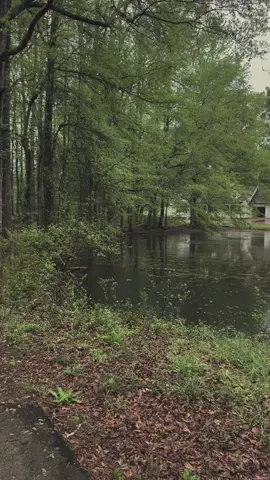 nature appreciation post #lovemyhouse #lovetherain 