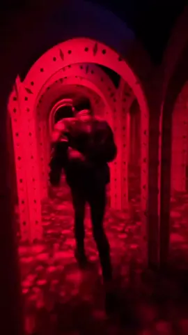 le labyrinthe miroir 