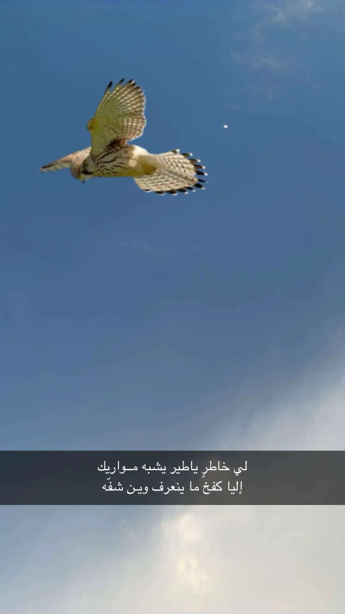 #saudiarabia🇸🇦 #السعودية #travel #tranding 