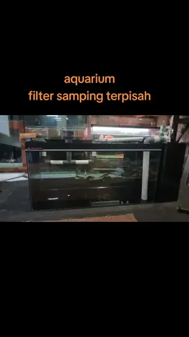 aquarium filter terpisah #custom #desain #inspiration #hobby #iwakplastik #solo #aquarium 