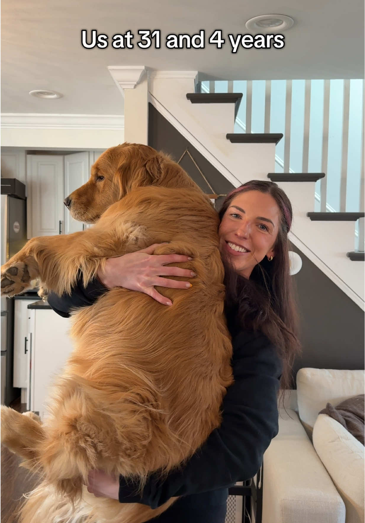 Still just a smol baby 🥺 #goldenretriever #dogs 