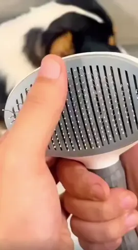 🚀 Self-Cleaning Pet Hair Remover Brush – Effortless Deshedding! 🚀 🐾🐾Tired of fur flying everywhere? Our Self-Cleaning Pet Brush removes loose hair with ease—just brush, click, and *poof*—fur disappears! No sticky rollers, no messy hands. 🐾🐾 ✔ Gentle on pets, tough on shedding ✔ One-click cleaning– no pulling out hair   ✔ Perfect for dogs & cats Keep your pet comfy and your home fur-free! Grab yours now!🐕🐈   Link In Bio 🔗🔗 Visit our website and order🛒 ✨ **Less Shedding, More Cuddling!** ✨   #DesheddingMadeEasy #HappyPetHappyHome #SelfCleaningBrush  #pets 