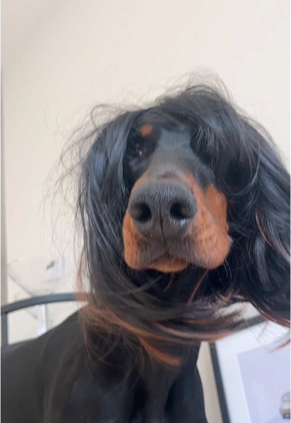 bob