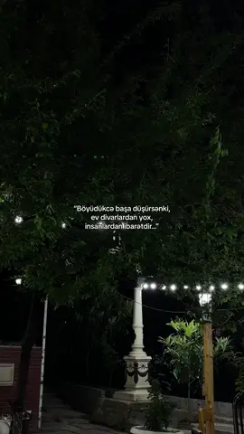 St:Orkhan Zeynallı #bay1arofh 