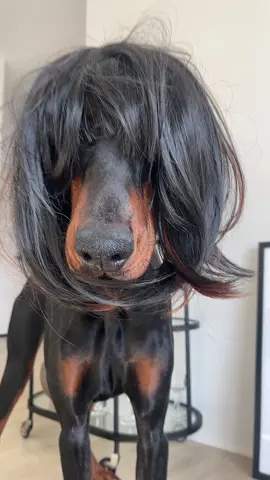 tell me I’m pretty