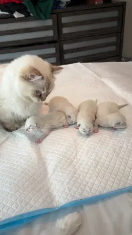 Heidi loves showing off her babies 