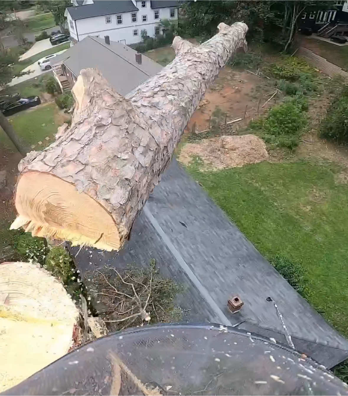 You think he was fired?#fyp #viral #treework 